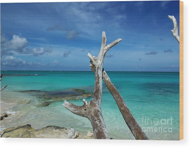 Turks And Caicos Wood Print featuring the painting Wishing Bone Beach Scene by Robyn Saunders