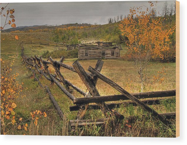 Teton National Park Wood Print featuring the photograph As Time Goes By by Donna Kennedy