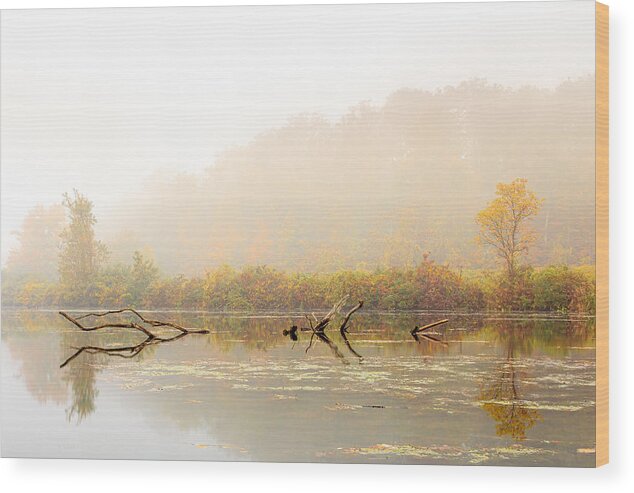 Autumn Wood Print featuring the photograph Autumn Dream by Sara Hudock