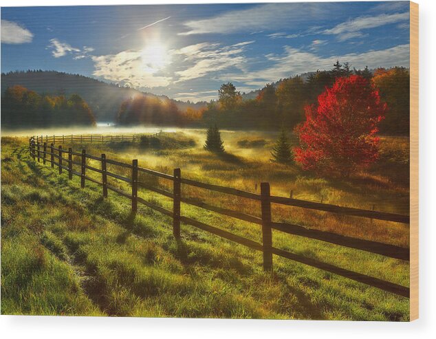Fall Colors Wood Print featuring the photograph Autumn Meadow Sunrise I - West Virginia by Dan Carmichael