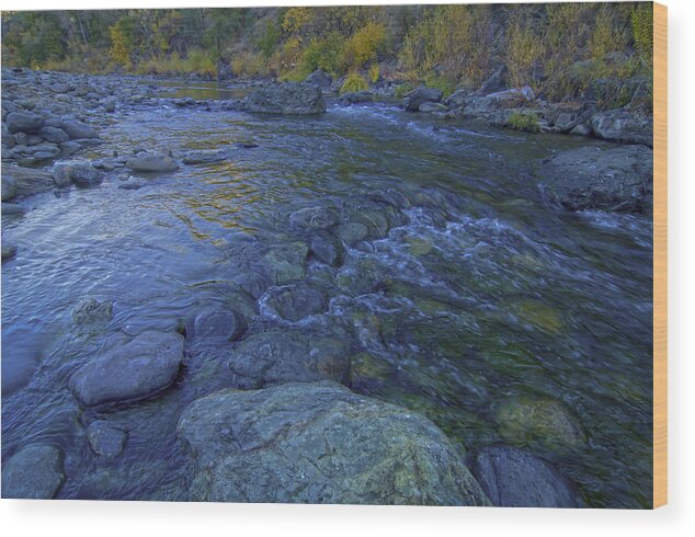 Autumn Wood Print featuring the photograph Autumn on the American River 2 by Sherri Meyer