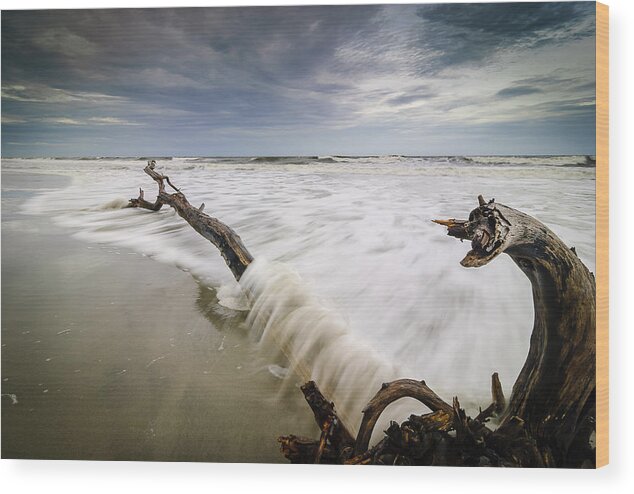 Charleston Wood Print featuring the photograph Awash by Steve DuPree