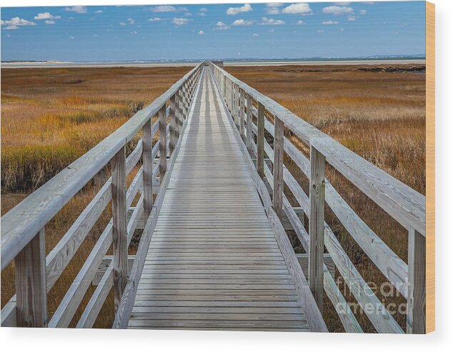 America Wood Print featuring the photograph Bass Hole Boardwalk by Susan Cole Kelly