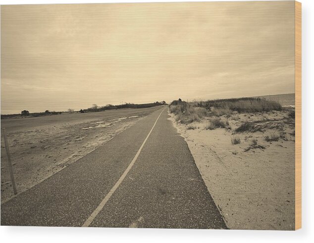 Beach Bike Path Wood Print featuring the photograph Lonely Beach Bike Path by Stacie Siemsen