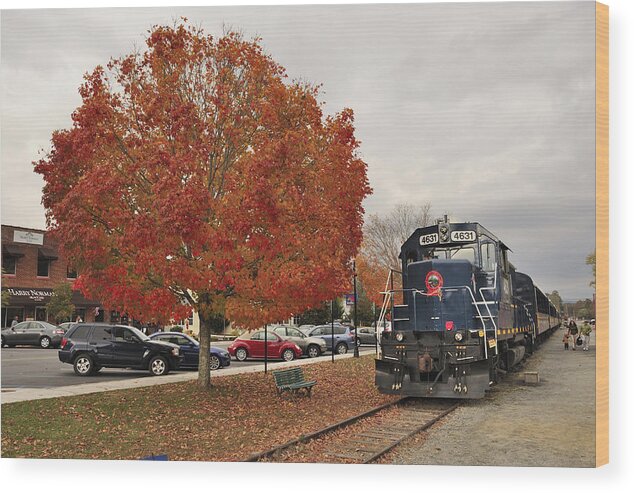 Blue Ridge Wood Print featuring the photograph Blue Ridge Train by Mike McGowan
