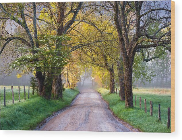 Cades Cove Wood Print featuring the photograph Cades Cove Great Smoky Mountains National Park - Sparks Lane by Dave Allen