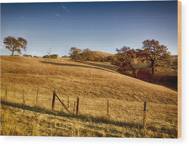 Rolling Hills Wood Print featuring the photograph California Route 154 by Joseph Hollingsworth