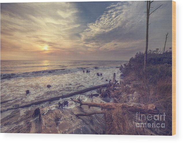 Cape San Blas Wood Print featuring the photograph Cape San Blas 1 by Tim Wemple