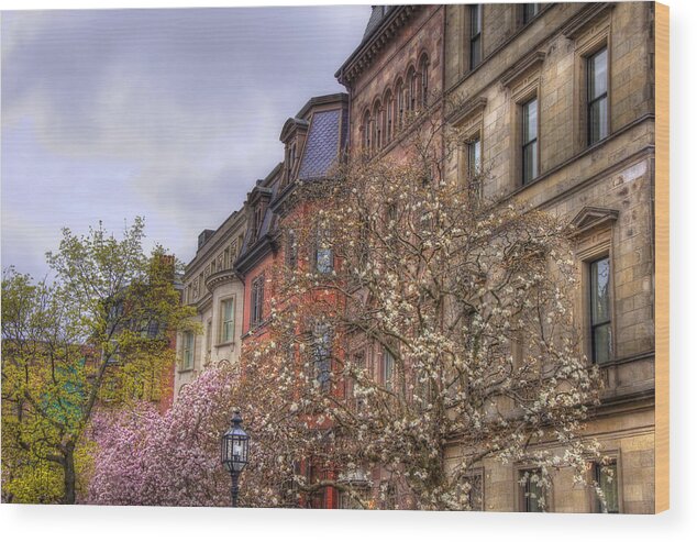 Boston Wood Print featuring the photograph Commonwealth Ave Row Houses - Boston by Joann Vitali