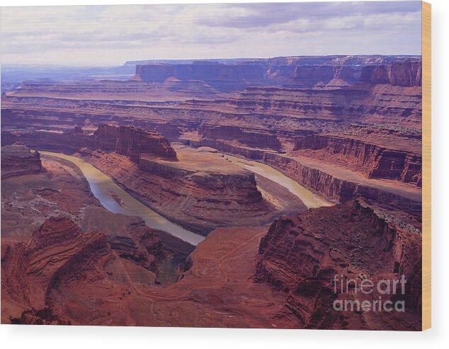 Dead Horse Point State Park Wood Print featuring the photograph Dead Horse PT. by Benedict Heekwan Yang