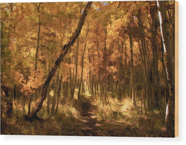 June Lake Wood Print featuring the photograph Down the Golden Path by Donna Kennedy