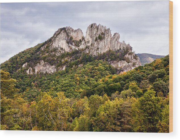 Seneca Rocks Wood Print featuring the photograph Fall on Seneca Rocks West Virginia by Dan Carmichael