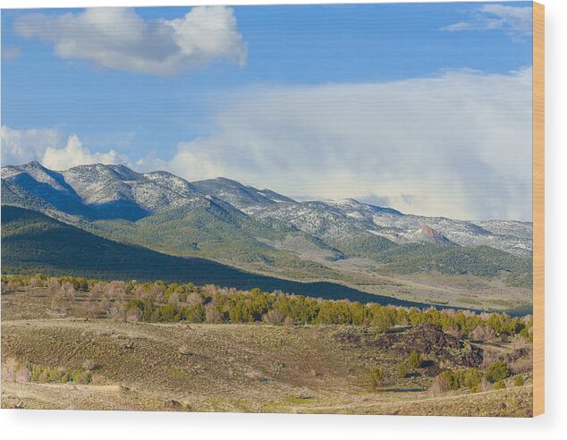 Hc Wood Print featuring the photograph A Warm Spring Day by Pro Shutterblade