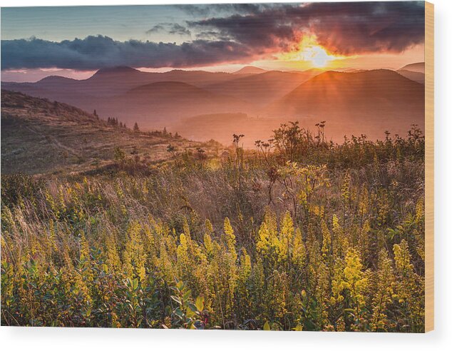 Black Balsam Knob Wood Print featuring the photograph Golden Glory by Rob Travis