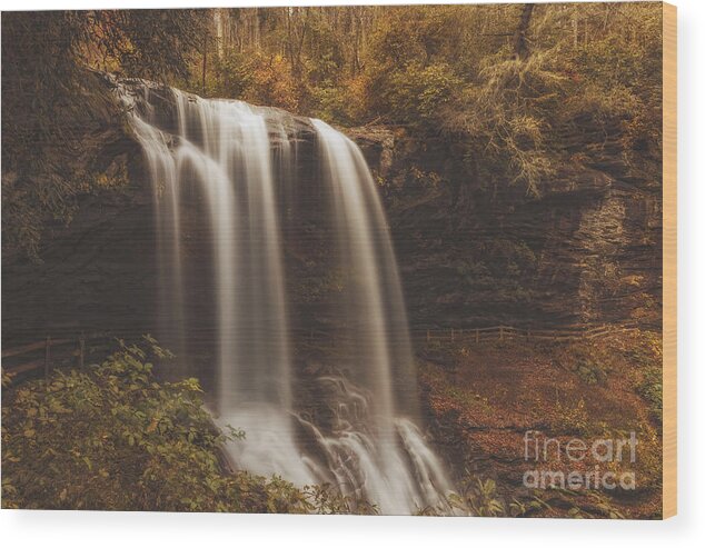 Waterfall Wood Print featuring the photograph Golden Waterfall by Tim Wemple