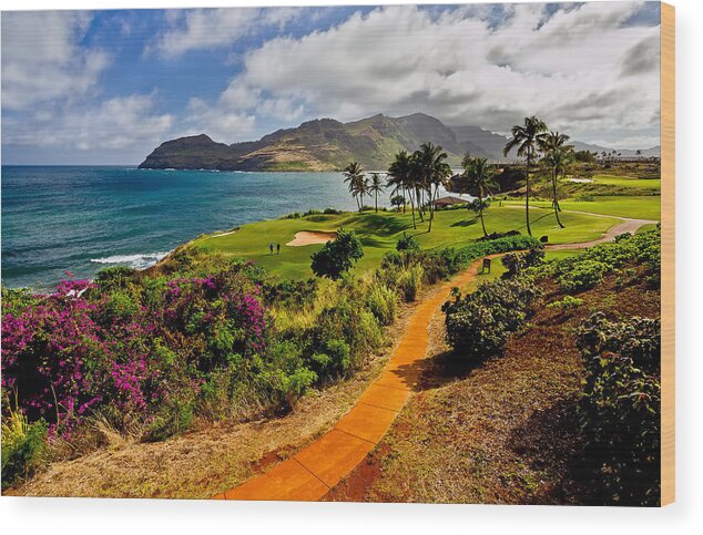 Hawaii Wood Print featuring the photograph Golfer's Dream - Hawaii by Douglas Berry
