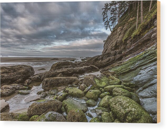 Horizontal Wood Print featuring the photograph Green Stone Shore by Jon Glaser