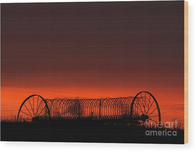 Sunset Wood Print featuring the photograph Hayrake at Sunset by Tiffany Whisler