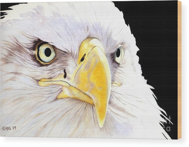 Bald Eagle Wood Print featuring the drawing Intensity by Rosellen Westerhoff