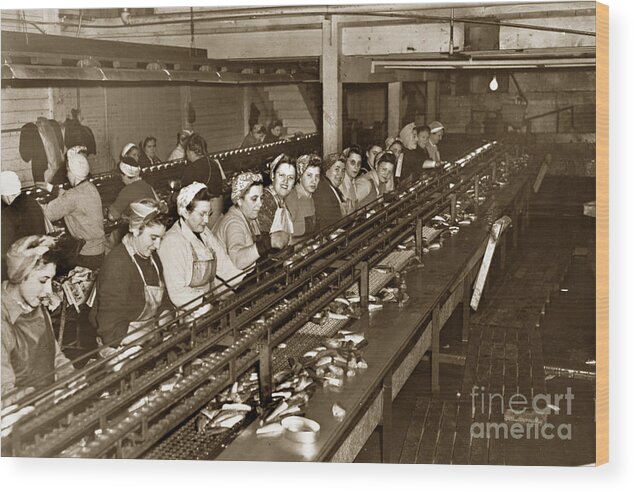 Ladies Packing Sardines Wood Print featuring the photograph Ladies packing Sardines in one pound oval cans in one of the over 20 Cannery's Circa 1948 by Monterey County Historical Society