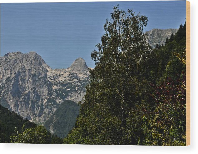 Landscape Wood Print featuring the photograph Land of Enchantment Tirol Austria by Gerlinde Keating