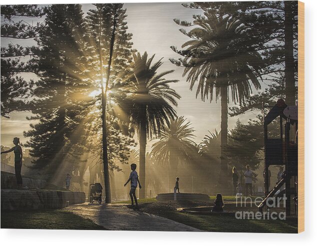 Sunbeams Wood Print featuring the photograph Late afternoon sunbeams by Sheila Smart Fine Art Photography