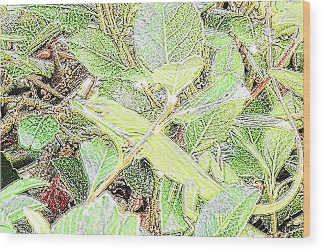 Lizard Wood Print featuring the digital art Lizard 4 by Robert Rhoads