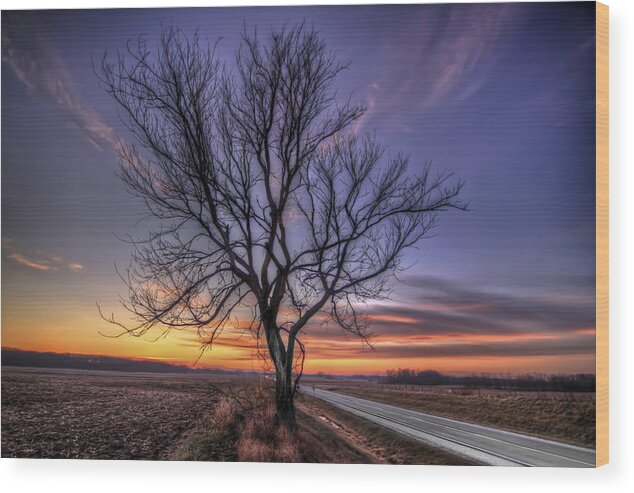 Tree Wood Print featuring the photograph Lone tree by Todd Wall
