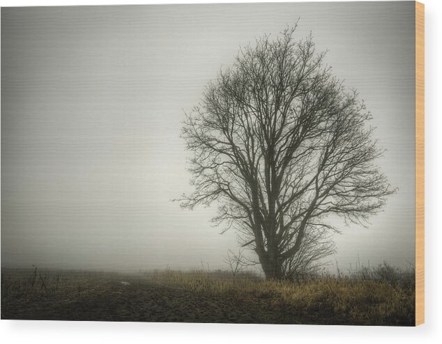Tree Wood Print featuring the photograph Lonesome by Spencer McDonald