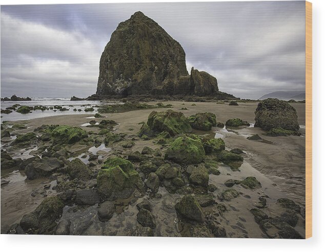2013 Wood Print featuring the photograph Low Tide at Haystack by Sara Hudock
