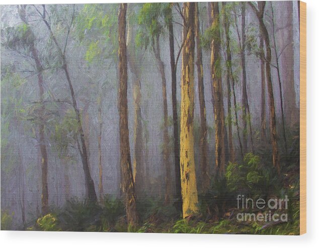 Mist Wood Print featuring the photograph Mist in forest by Sheila Smart Fine Art Photography