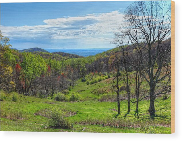 Blue Ridge Mountains Wood Print featuring the photograph Mountains Beyond Forever by Dan Carmichael