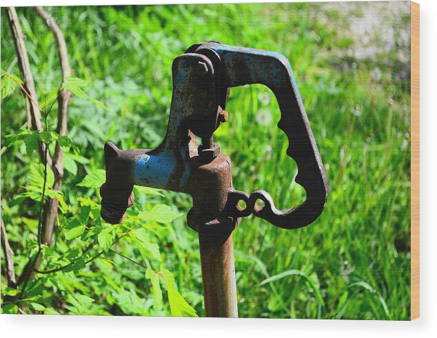 Water Pump Wood Print featuring the photograph The Old Rusty Water Pump by Stacie Siemsen