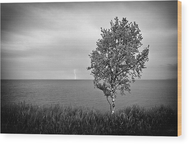 Lake Superior Wood Print featuring the photograph One on One by Doug Gibbons
