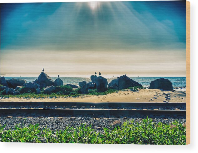 Beach Wood Print featuring the photograph Padaro Lane by Thomas Hall