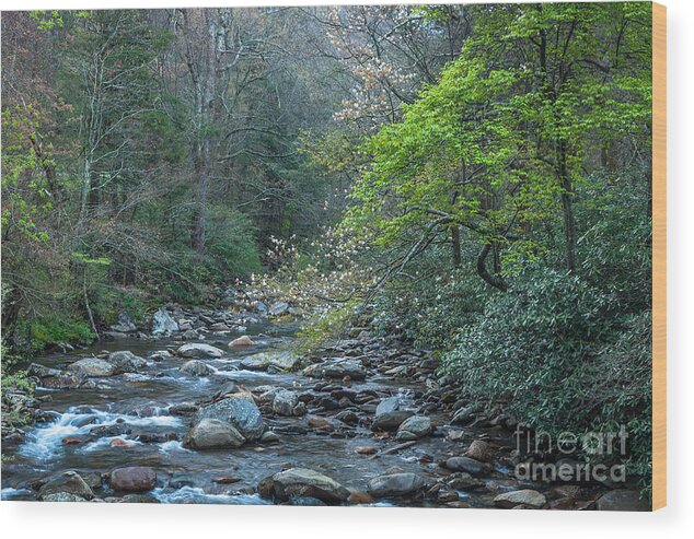 America Wood Print featuring the photograph Pigeon River Spring by Susan Cole Kelly