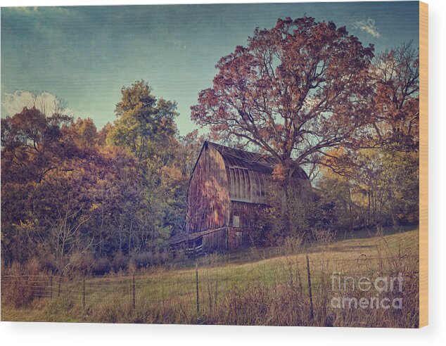 Barn Wood Print featuring the photograph Red Barn by Tim Wemple