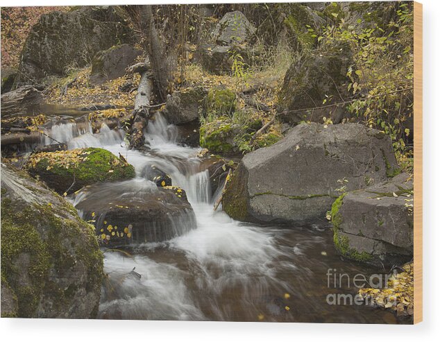 Idaho Wood Print featuring the photograph Rock Creek Autumn by Idaho Scenic Images Linda Lantzy