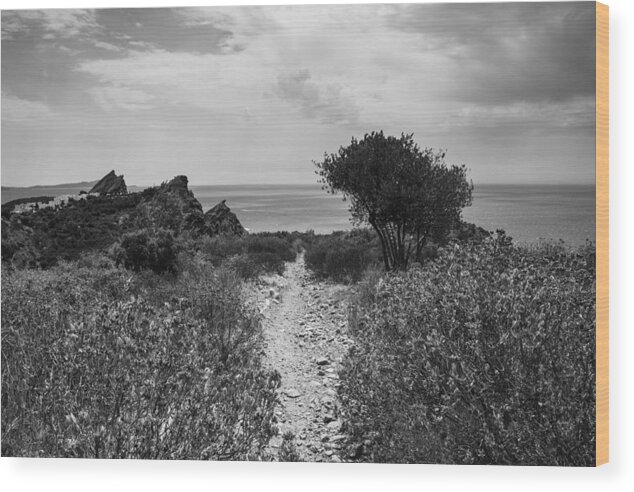 Rocky Path Wood Print featuring the photograph Rocky Path to the Sea in Mono by Georgia Clare