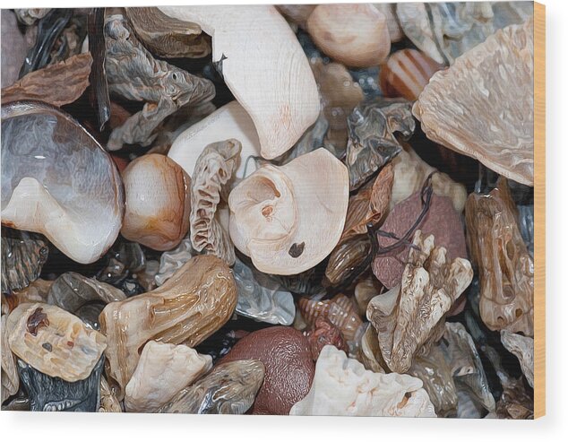 Shells Wood Print featuring the photograph Sea Debris 3 by WB Johnston