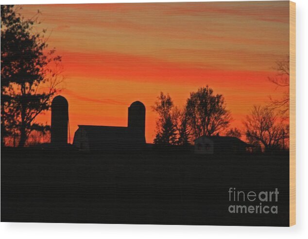Silhouette Wood Print featuring the photograph Silhouette by Melissa Mim Rieman