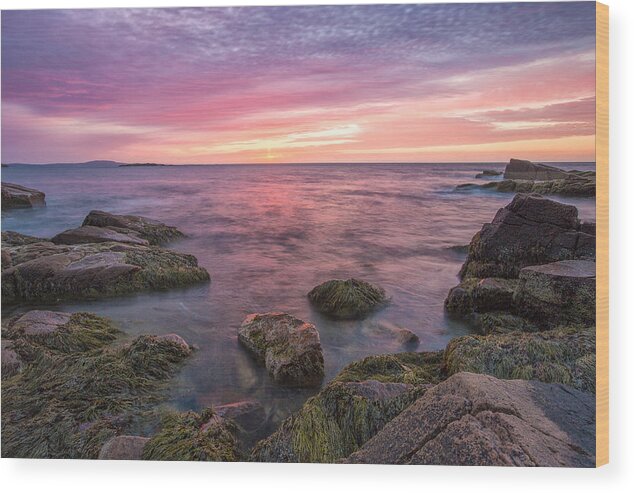 Horizontal Wood Print featuring the photograph Sky Purple by Jon Glaser