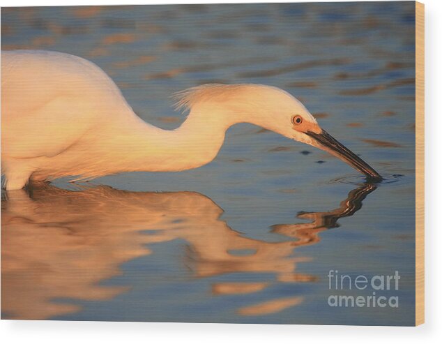 Reflections Wood Print featuring the photograph Mirror by John F Tsumas