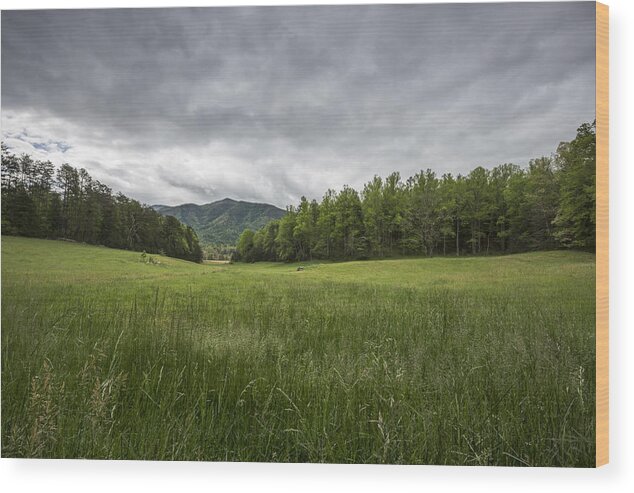 Green Wood Print featuring the photograph Stuck in the Field by Jon Glaser