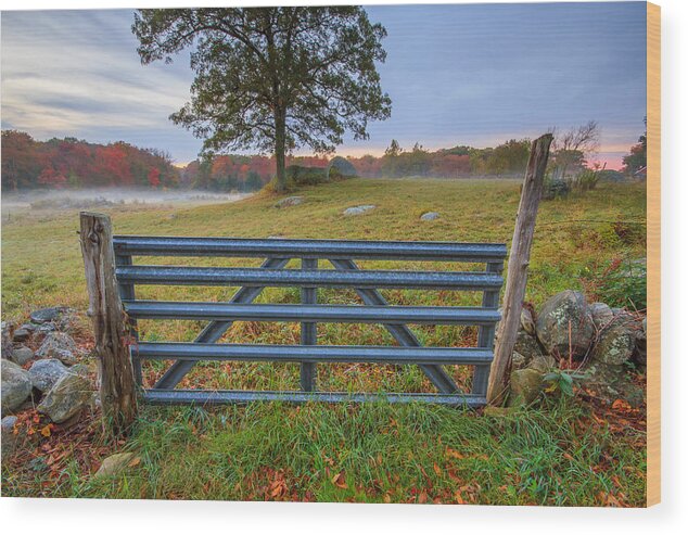 Autumn Wood Print featuring the photograph The Gate by Bryan Bzdula