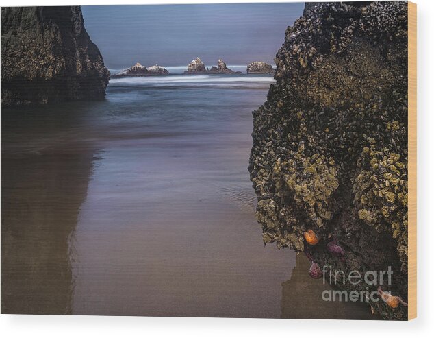 Sea Stacks Wood Print featuring the photograph Through The Channel by Gene Garnace