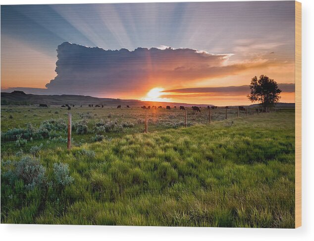 Weather Wood Print featuring the photograph Thunderstorm Range - Montana by Douglas Berry