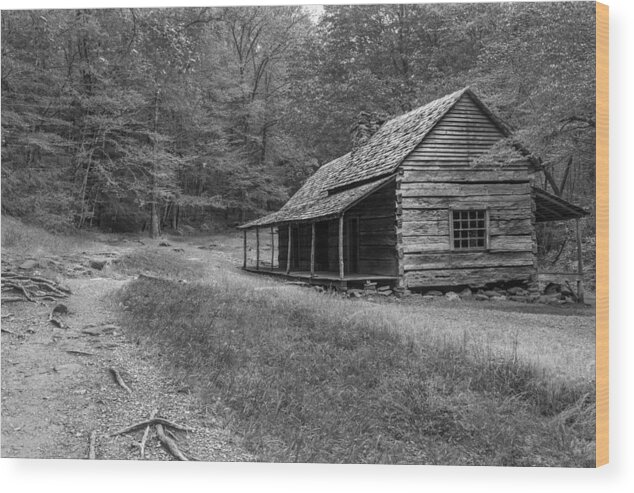 Horizontal Wood Print featuring the photograph Tired and Weathered by Jon Glaser