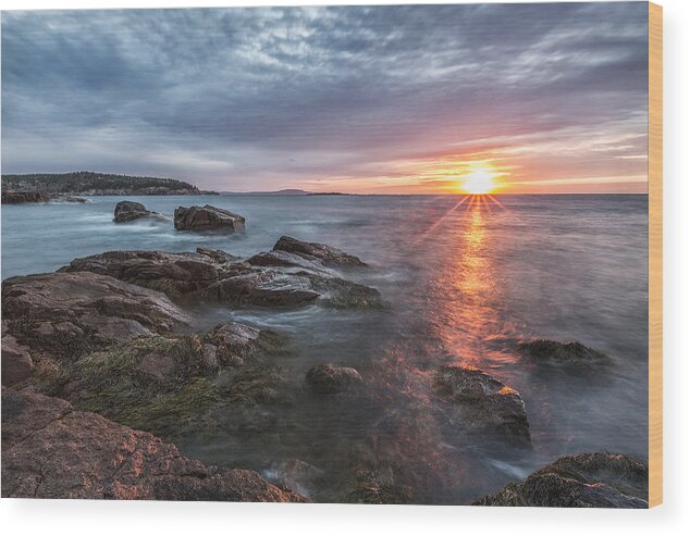 Acadia National Park Wood Print featuring the photograph Trembling on the Shore by Jon Glaser