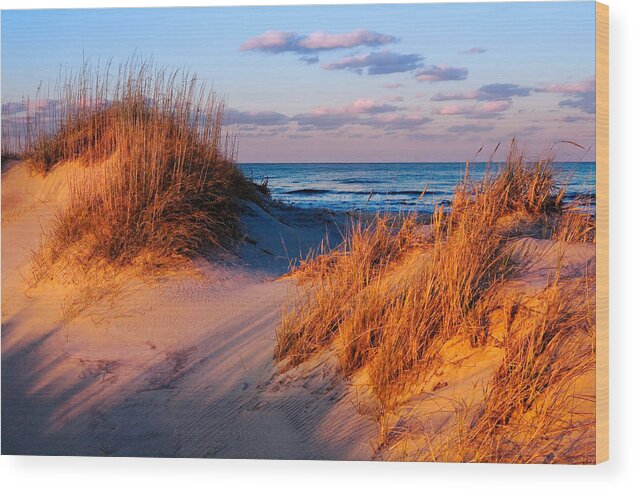 Outer Banks Wood Print featuring the photograph Two Dunes at Sunset - Outer Banks by Dan Carmichael